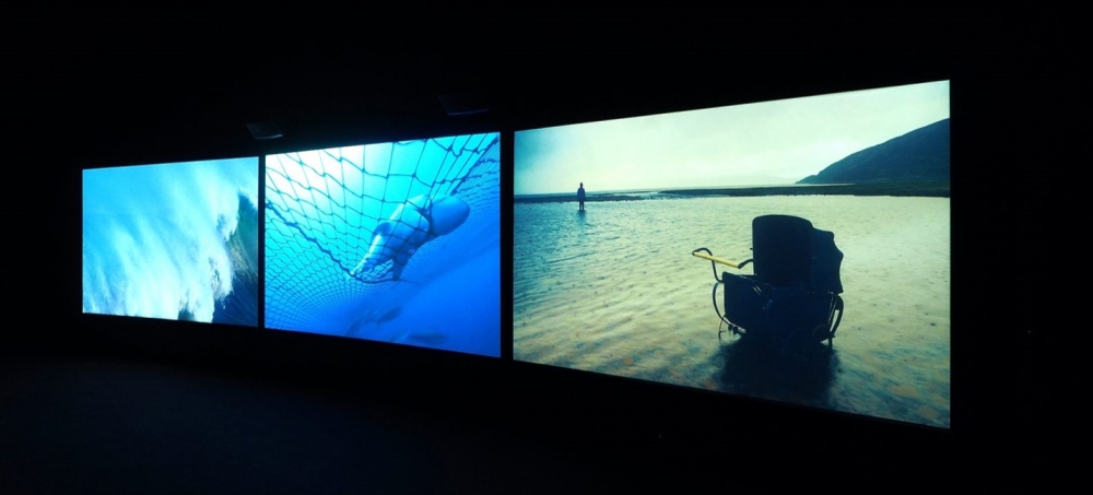 3 video screens showing aquatic themed images in a dark gallery