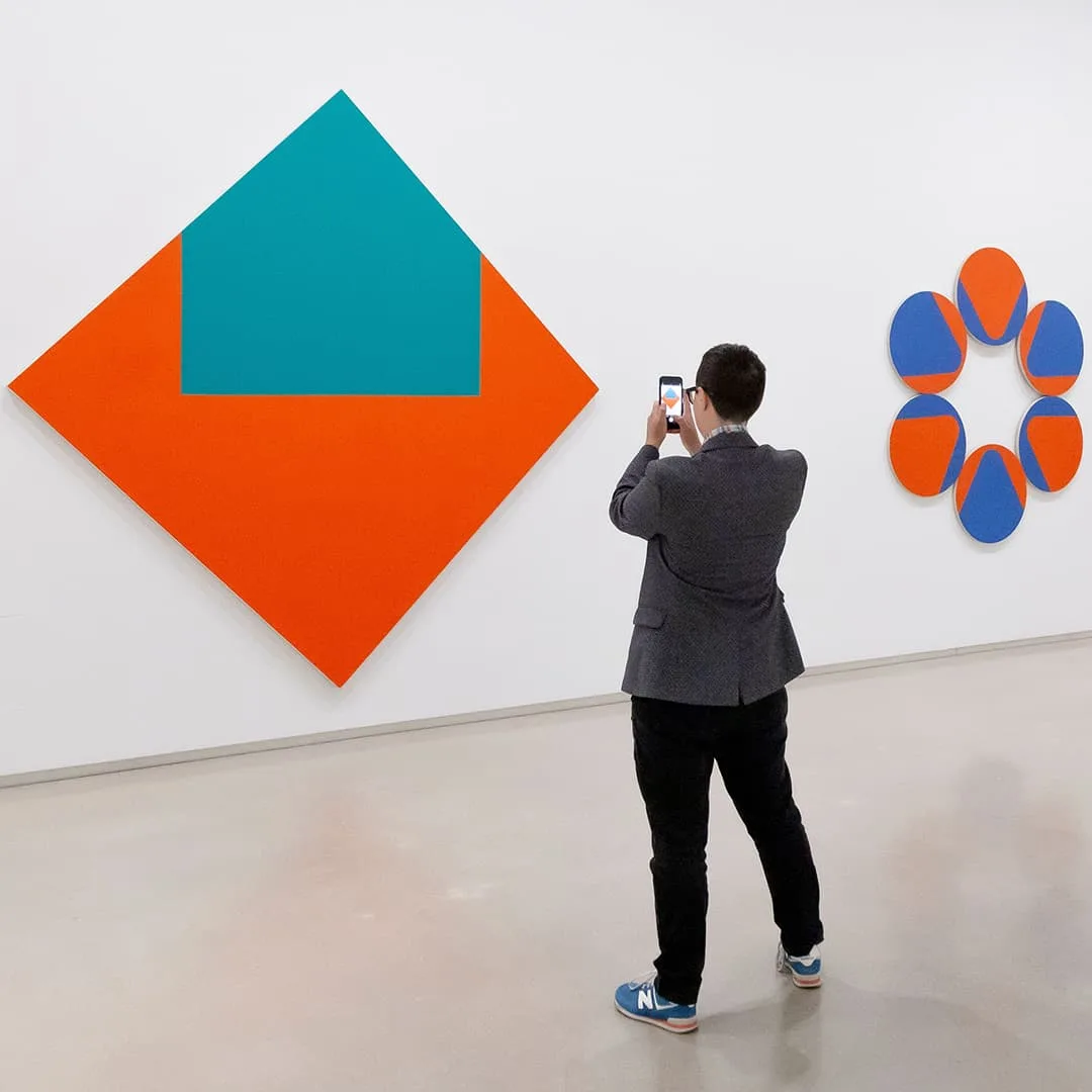 Man taking photo of art
