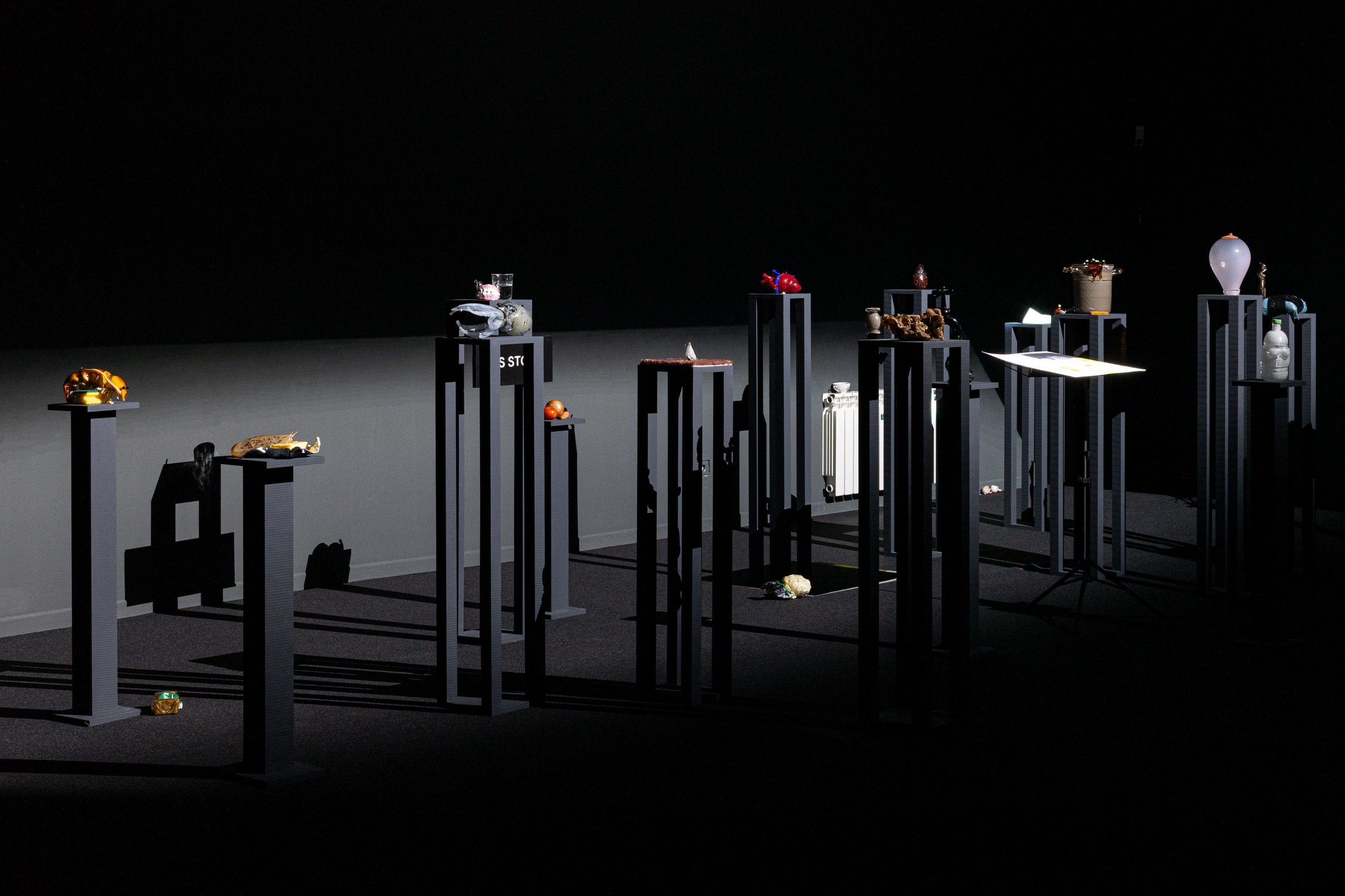 A grouping of tall, narrow black platforms hold various objects, including fruits and vegetables, a model heart and dentures. They are displayed in a black room and are illuminated by lights off camera.