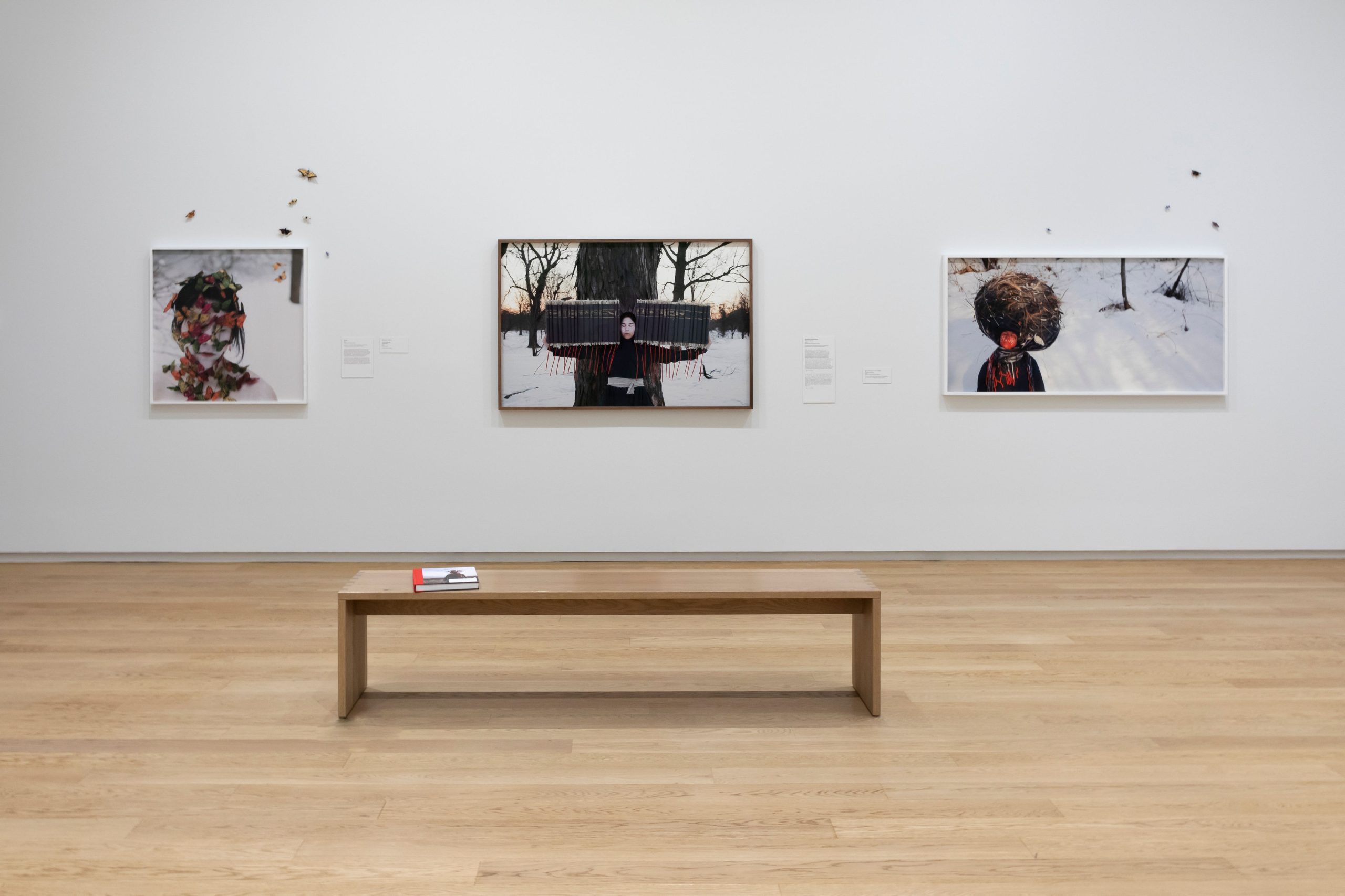 A gallery room displays three Meryl McMaster photographs, with butterflies attached to the wall alongside them. A bench sits in the centre of the room with an exhibition catalogue on it.