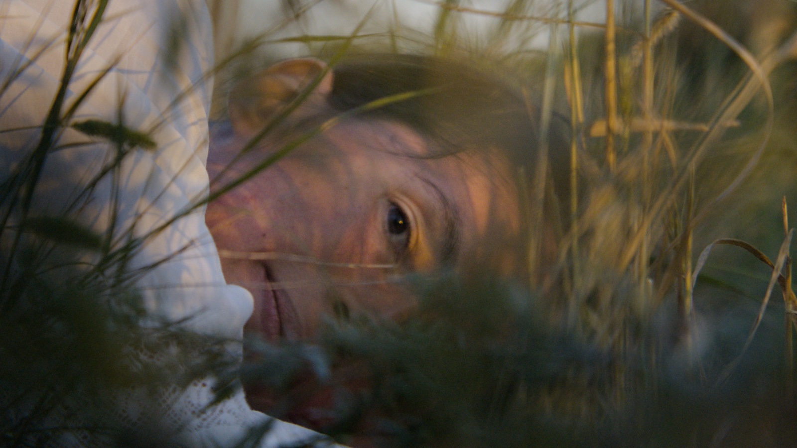 Image of Althea Thauberger in portrait lying in a wheat field