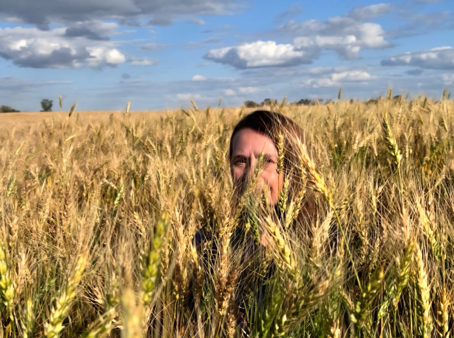 A person stands partially hidden in a tall, golden wheat field, with only their face visible between the stalks. The field stretches to the horizon beneath a blue sky dotted with soft white clouds
