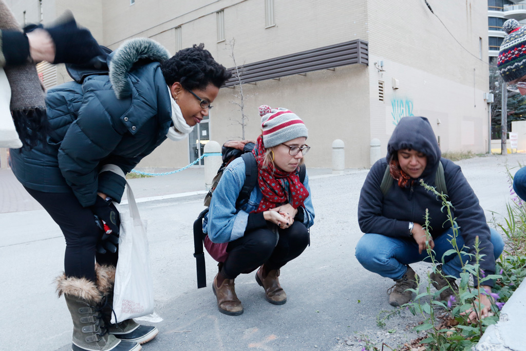 3 people crouch and look down at a plant growing through concrete in an urban setting
